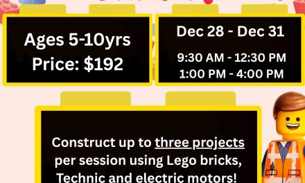 Lego Brick Craft! Ages 5-10 yrs  Dec 28-21