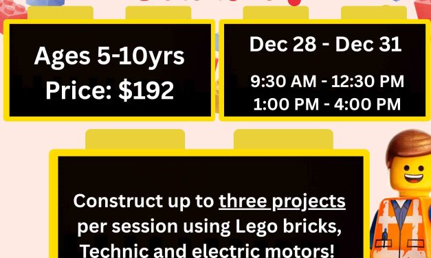 Lego Brick Craft! Ages 5-10 yrs  Dec 28-21